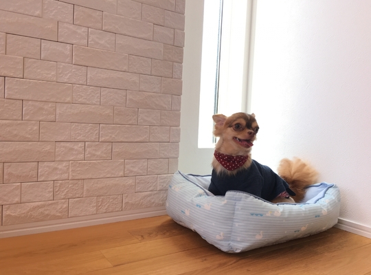 室内のエコカラットの写真