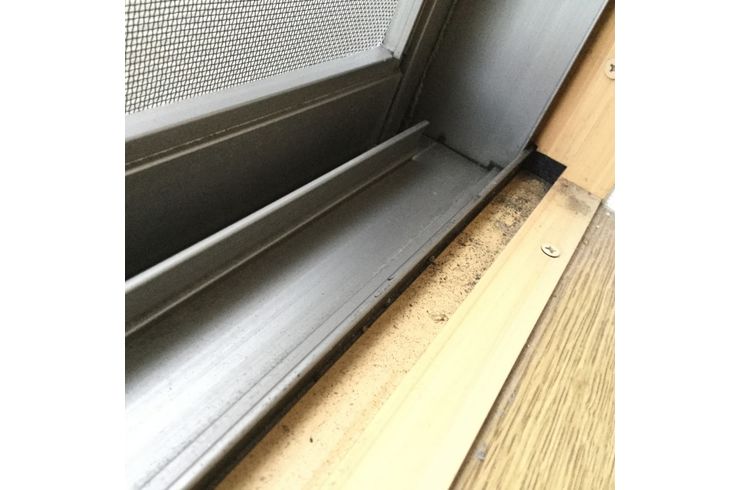 サッシ廻りに付いたカビの写真